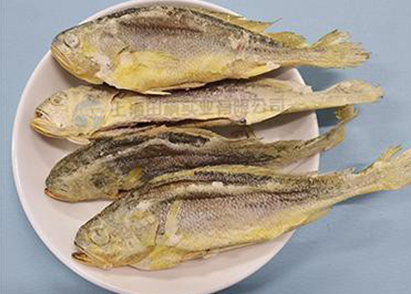 海魚(yú)凍干：海鮮凍干機(jī)應(yīng)用黃花魚(yú)凍干優(yōu)點(diǎn)