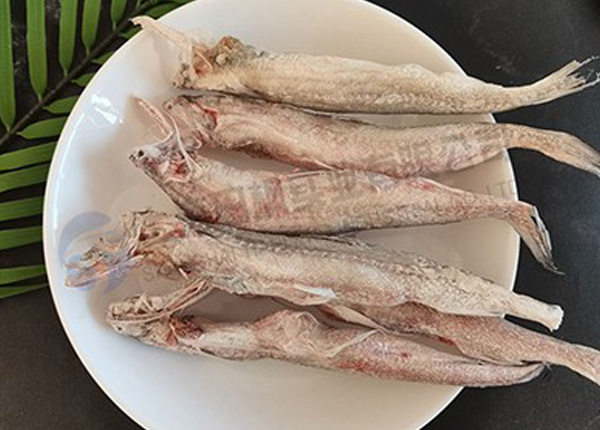 海鮮魚(yú)凍干：食品凍干技術(shù)應(yīng)用于龍頭魚(yú)冷凍干燥原理